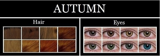 autumn-characteristics